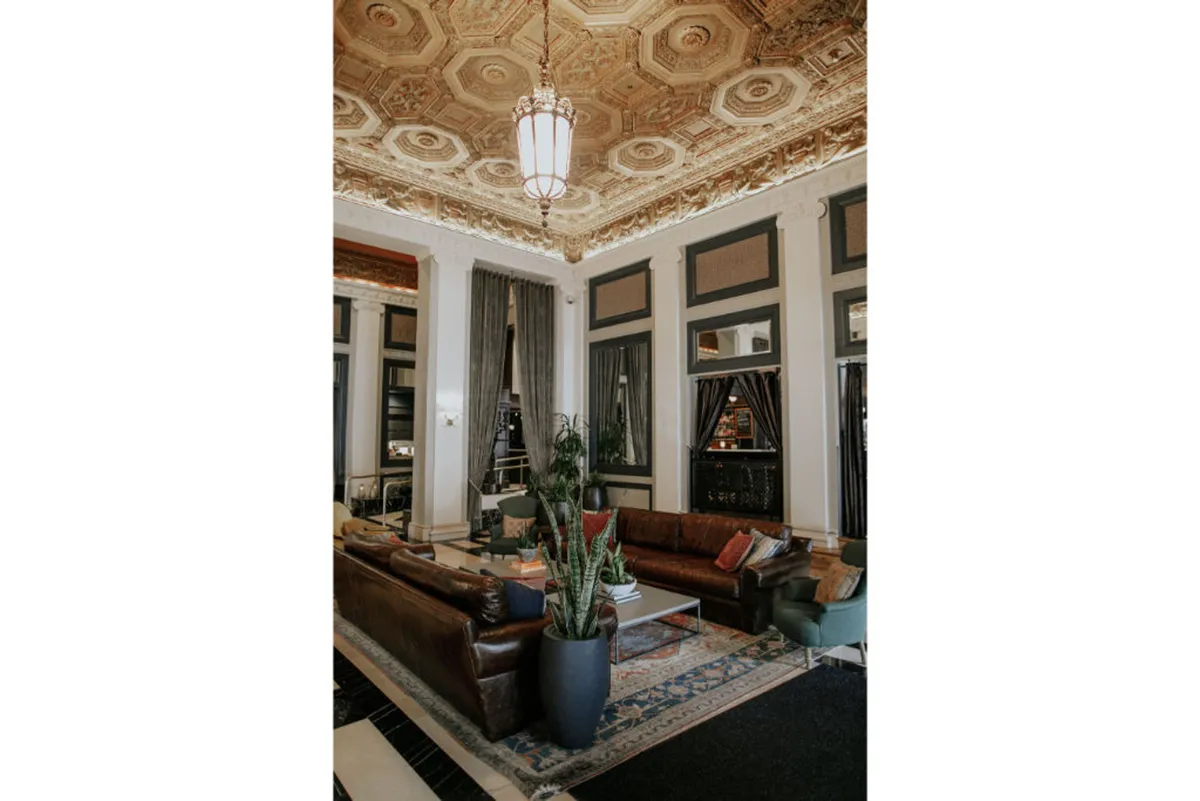 A comfortable common area with leather sofas, a large potted plant, and a decorative light fixture. The setting is refined yet approachable, offering spaces ideal for socializing or unwinding with a pet. The large plant and soft lighting add warmth and a touch of nature to the environment.